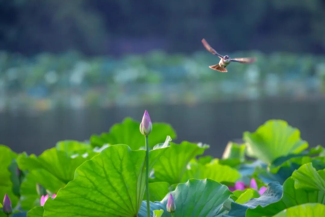 图片21.png